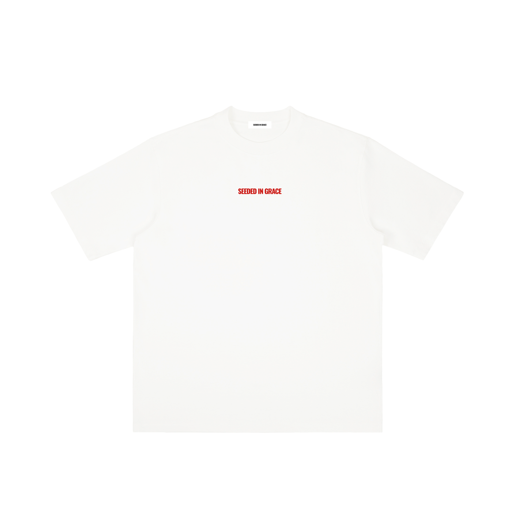 Seeded In Grace Wash Drop Shoulder T-shirt